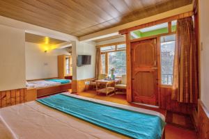 Hotel Dream River Manali