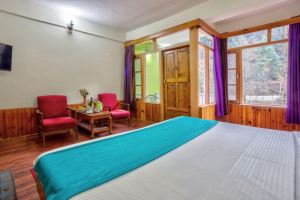 Hotel Dream River Manali