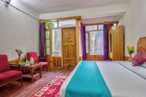 Hotel Dream River Manali
