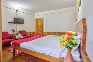 Hotel Dream River Manali