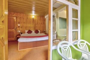 Hotel Dream River Manali